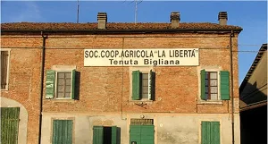soc_coop2