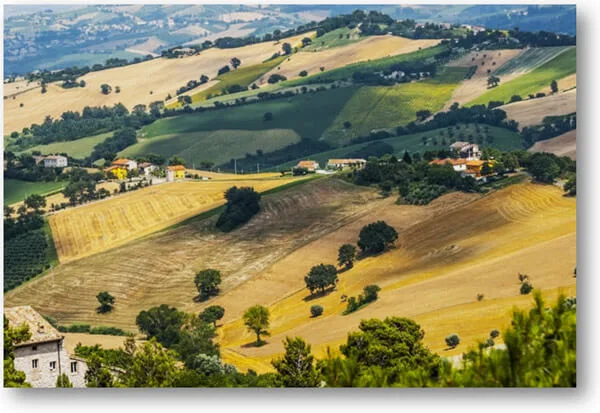 agricoltura33