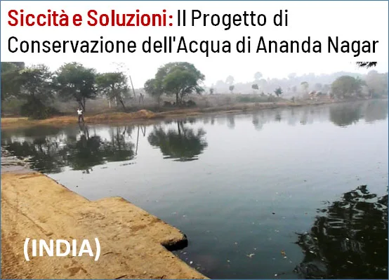 Progetti per contrastare i Cambiamenti Climatici