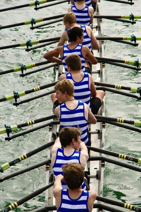row-4476112_1920_450
